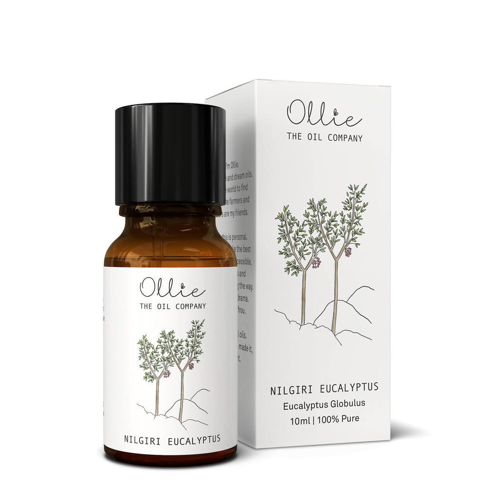 Ollie Nilgiri Eucalytpus Essential Oil