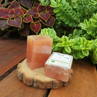Handmade Hand Soap - Eucalyptus Lemon (set of 2 pcs)