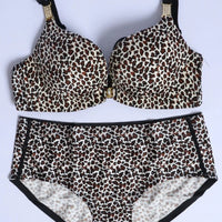 Astra Leopard (Push up)